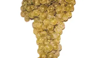 Одесский ранний / Одеський ранній