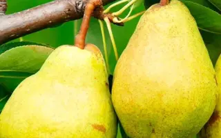 Городищенська