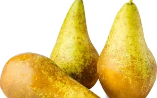 Конференция / Конференція