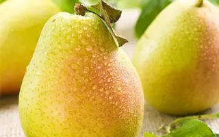 Янтарная (укр.нииос) / Янтарна