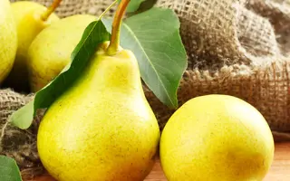 Лимонка осенняя / Лимонка осіння