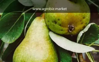 Трэмбита / Трембіта