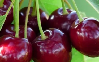 Ожидание / Ожиданіє