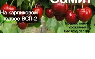 VSL 2.3 / ВСЛ 2.3