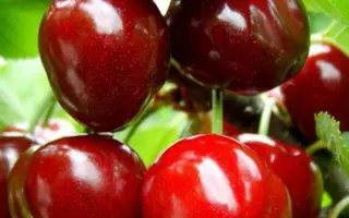 Космическая / Космічна