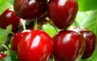 Удивительная / Удівітєльна