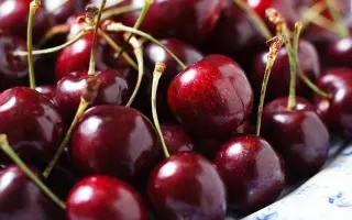 Запорожская / Запорізька