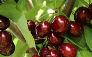 Изюмная / Ізюмна