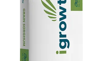 ADVG 2168 IG / АДВГ 2168 ІГ