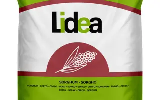 ES Alize / ЕС Алізе