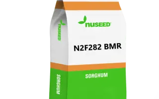 N2F282 BMR / Н2Ф282 БМР