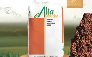 Sentinel IG / Сентінел ІГ