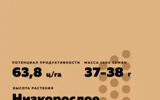 KWS LUPUS / КВС ЛУПУС