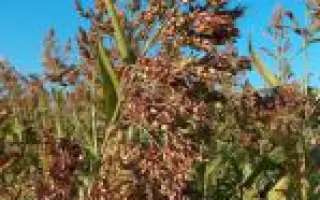 Одесская 221 / Одеська 221