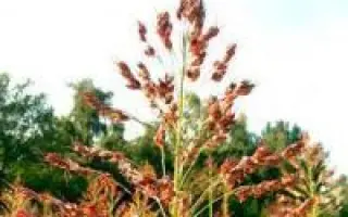 Дніпровська 54