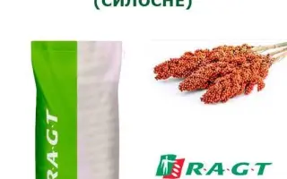 Силосное 3 / Силосне 3