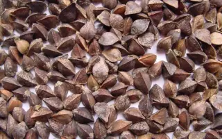 Подільська