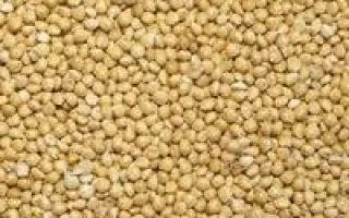 Денвікське