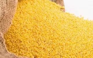 Kornberger Mittelfruhe / Корнбергер Міттельфрюе