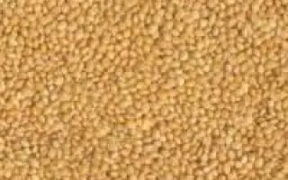 Харьковское 86 / Харківське 86