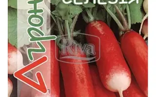 Agronom / Агроном