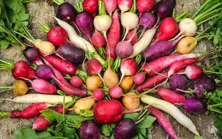 Радуга / Райдуга