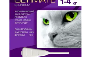 ULTIMATE / УЛЬТІМЕЙТ