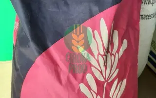 GALAXIE MAX / ГАЛАКСІ МАКС