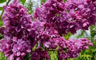 Огни Донбасса / Вогні Донбасу