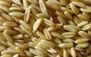 Скарб України