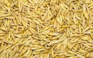 Черниговский 27 / Чернігівський 27