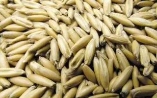 Черниговский 28 / Чернігівський 28