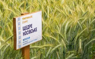 Щедре Носівське