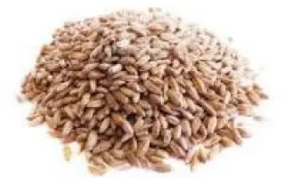 Лебідь харківський