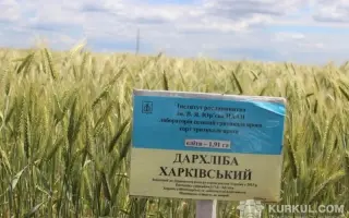 Свобода харківська