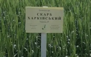 Скарб харківський