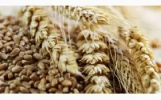 Лосинівське