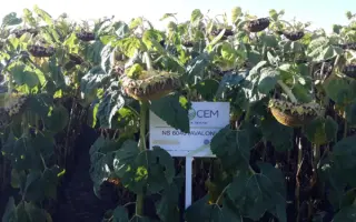 Харків АВІАС