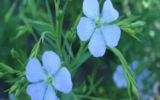 Вогні Дніпрогесу