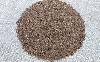 Північна Зірка