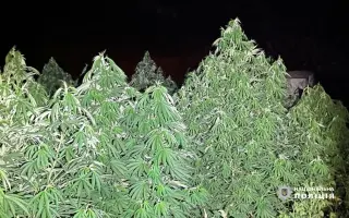 Днепровские однодомные 6 / Дніпровські однодомні 6