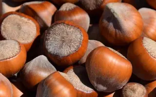 Barcelonski / Барселонський