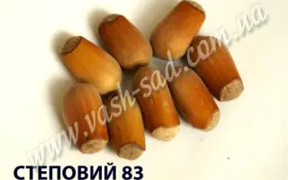 Степной 83 / Степовий 83