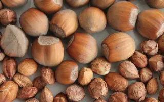 СТОРОЖИНЕЦЬКИЙ