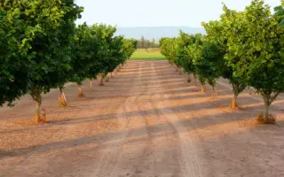 BARCELONA / БАРСЕЛОНА