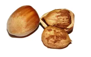 Istarski duguljasti / Істарскі дугулжасті