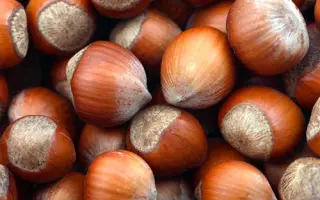 TONDA GENTILE ROMANA / ТОНДА ДЖЕНТІЛЕ РОМАНА