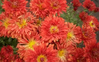 Героям України