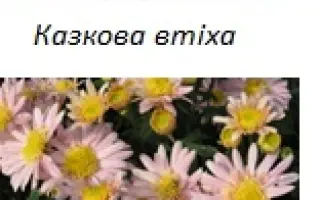 Казкова Втіха