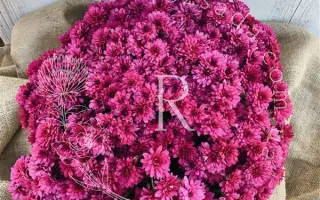 Чудовий Арлекін